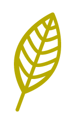 leaf_logo