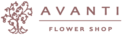 avanti_logo